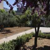 Usciamo e ci dirigiamo verso il giardino ordinato in grandi aiuole sulle quali cipressi e ulivi svettano nel segreto di questo cortile inaccessibile ai pi�